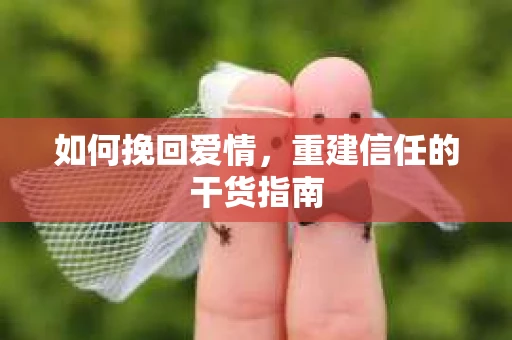 如何挽回爱情，重建信任的干货指南