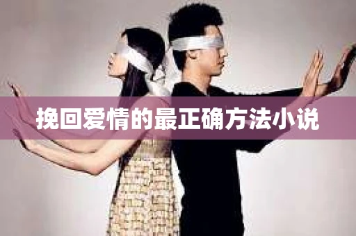挽回爱情的最正确方法小说
