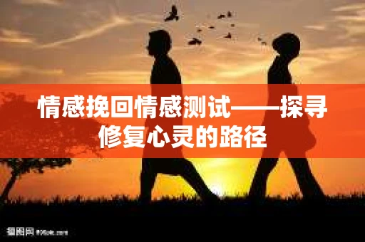 情感挽回情感测试——探寻修复心灵的路径