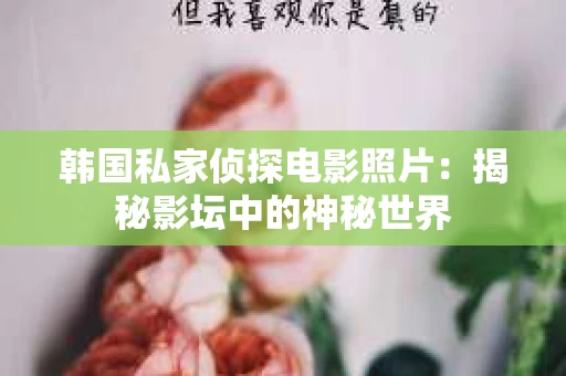 韩国私家侦探电影照片：揭秘影坛中的神秘世界