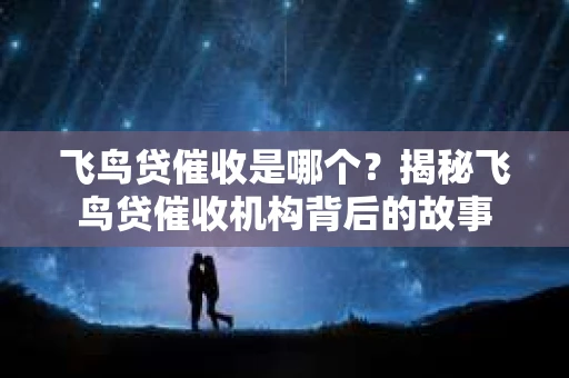 飞鸟贷催收是哪个？揭秘飞鸟贷催收机构背后的故事