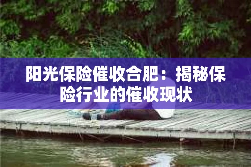 阳光保险催收合肥：揭秘保险行业的催收现状