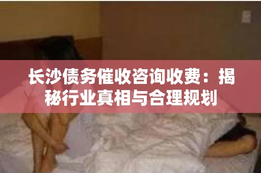 长沙债务催收咨询收费：揭秘行业真相与合理规划