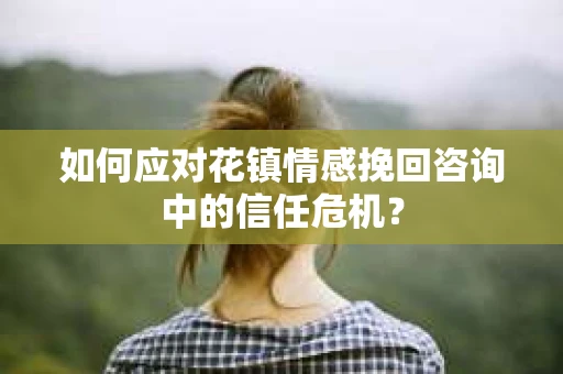 如何应对花镇情感挽回咨询中的信任危机？