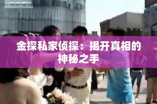 金探私家侦探：揭开真相的神秘之手
