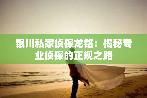 银川私家侦探龙铭：揭秘专业侦探的正规之路