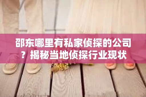 邵东哪里有私家侦探的公司？揭秘当地侦探行业现状