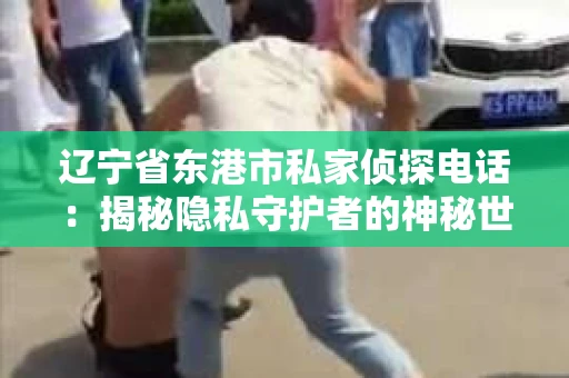 辽宁省东港市私家侦探电话：揭秘隐私守护者的神秘世界
