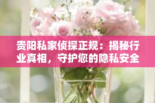 贵阳私家侦探正规：揭秘行业真相，守护您的隐私安全
