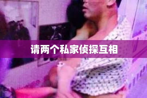 请两个私家侦探互相