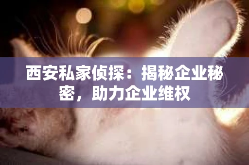 西安私家侦探：揭秘企业秘密，助力企业维权