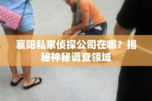 襄阳私家侦探公司在哪？揭秘神秘调查领域