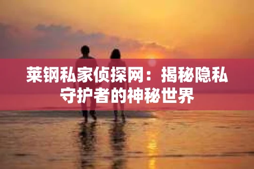 莱钢私家侦探网：揭秘隐私守护者的神秘世界