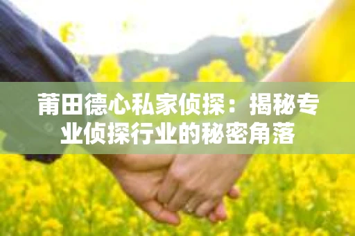 莆田德心私家侦探：揭秘专业侦探行业的秘密角落