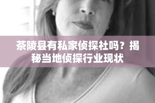 茶陵县有私家侦探社吗？揭秘当地侦探行业现状