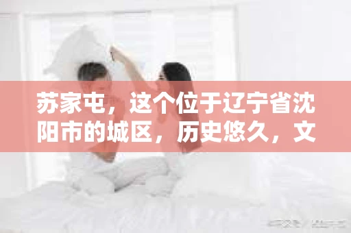 苏家屯，这个位于辽宁省沈阳市的城区，历史悠久，文化底蕴深厚。近年来，随着社会的发展，人们对于私家侦探的需求也逐渐增加。那么，苏家屯有私家侦探吗？今天，我们就来聊聊这个话题。