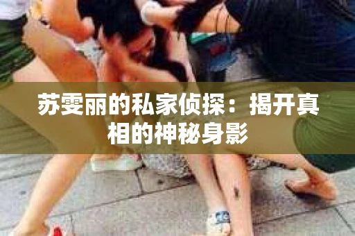 苏雯丽的私家侦探：揭开真相的神秘身影