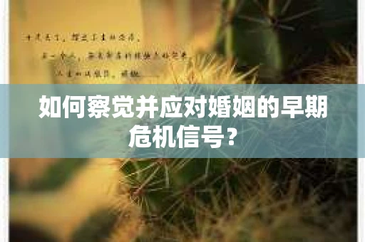 如何察觉并应对婚姻的早期危机信号？