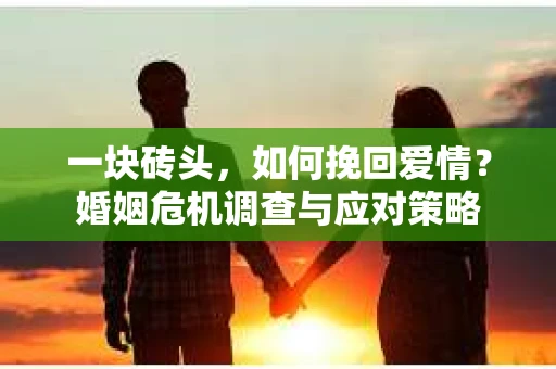 一块砖头,如何挽回爱情?婚姻危机调查与应对策略 一块砖头,如何挽回爱情?婚姻危机调查与应对策略