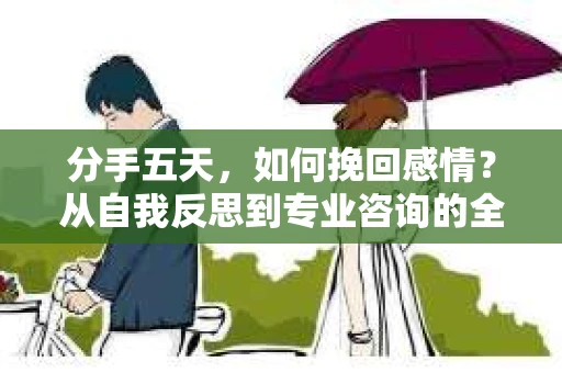 分手五天，如何挽回感情？从自我反思到专业咨询的全面解决方案