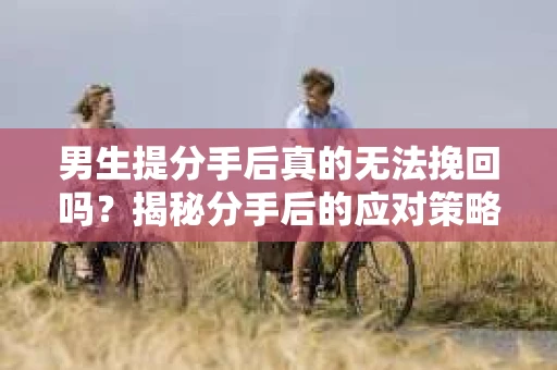 男生提分手后真的无法挽回吗?揭秘分手后的应对策略 男生提分手后真的无法挽回吗?揭秘分手后的应对策略