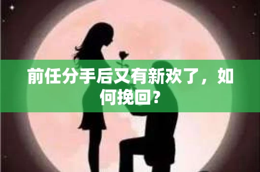 前任分手后又有新欢了，如何挽回？