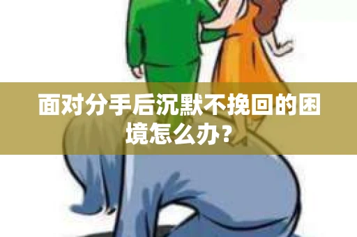 面对分手后沉默不挽回的困境怎么办？
